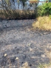 Brand - Freifläche, A81 Richtung Heilbronn, 23.08.2022